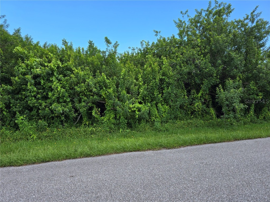 167 Lenoir Street NW Port Charlotte FL 33948 A4666630 image3