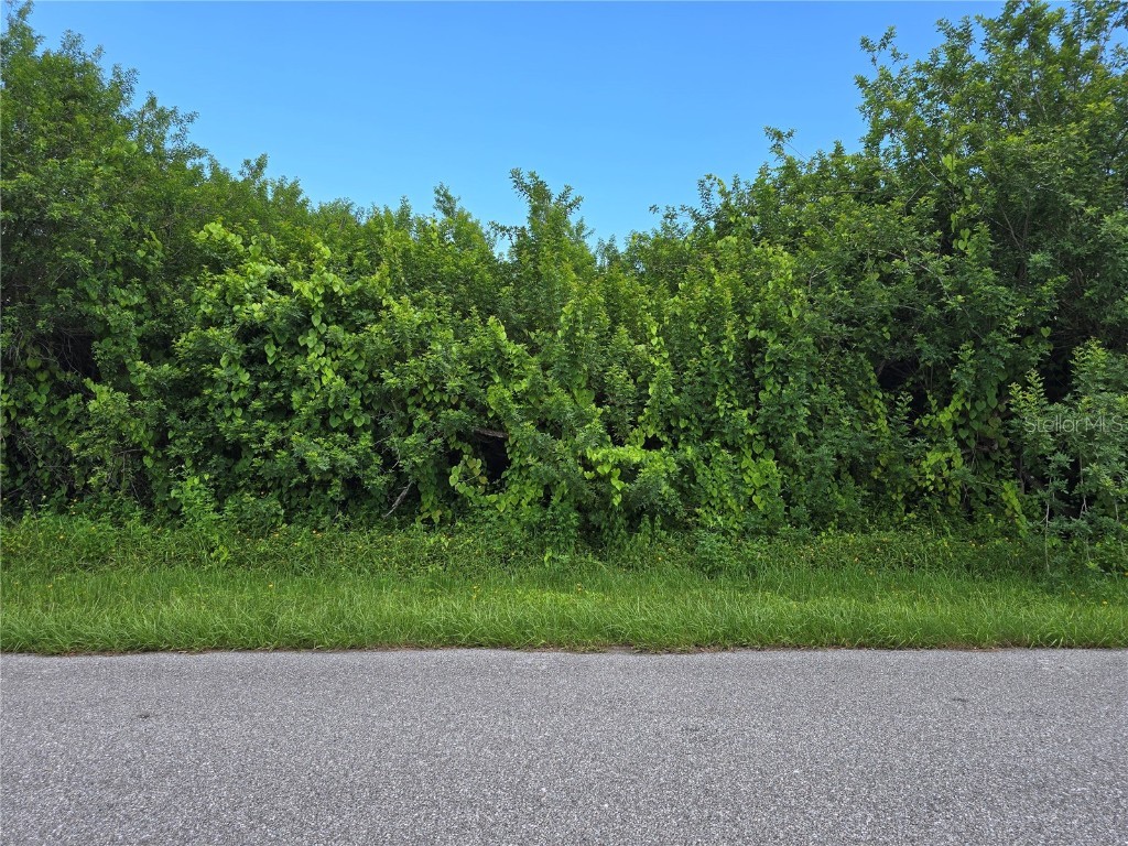 167 Lenoir Street NW Port Charlotte FL 33948 A4666630 image7