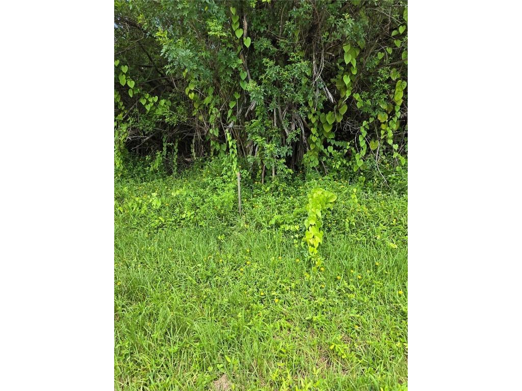 167 Lenoir Street NW Port Charlotte FL 33948 A4666630 image9