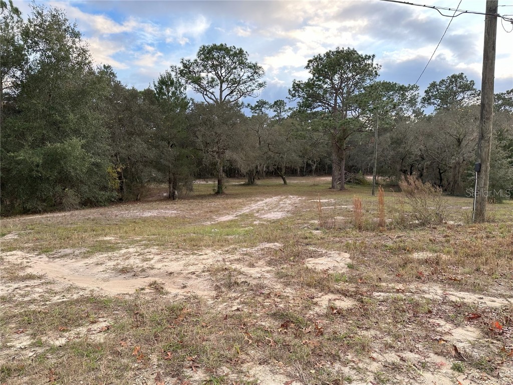 167 Marlin Road Pomona Park FL 32181 FC296784 image1