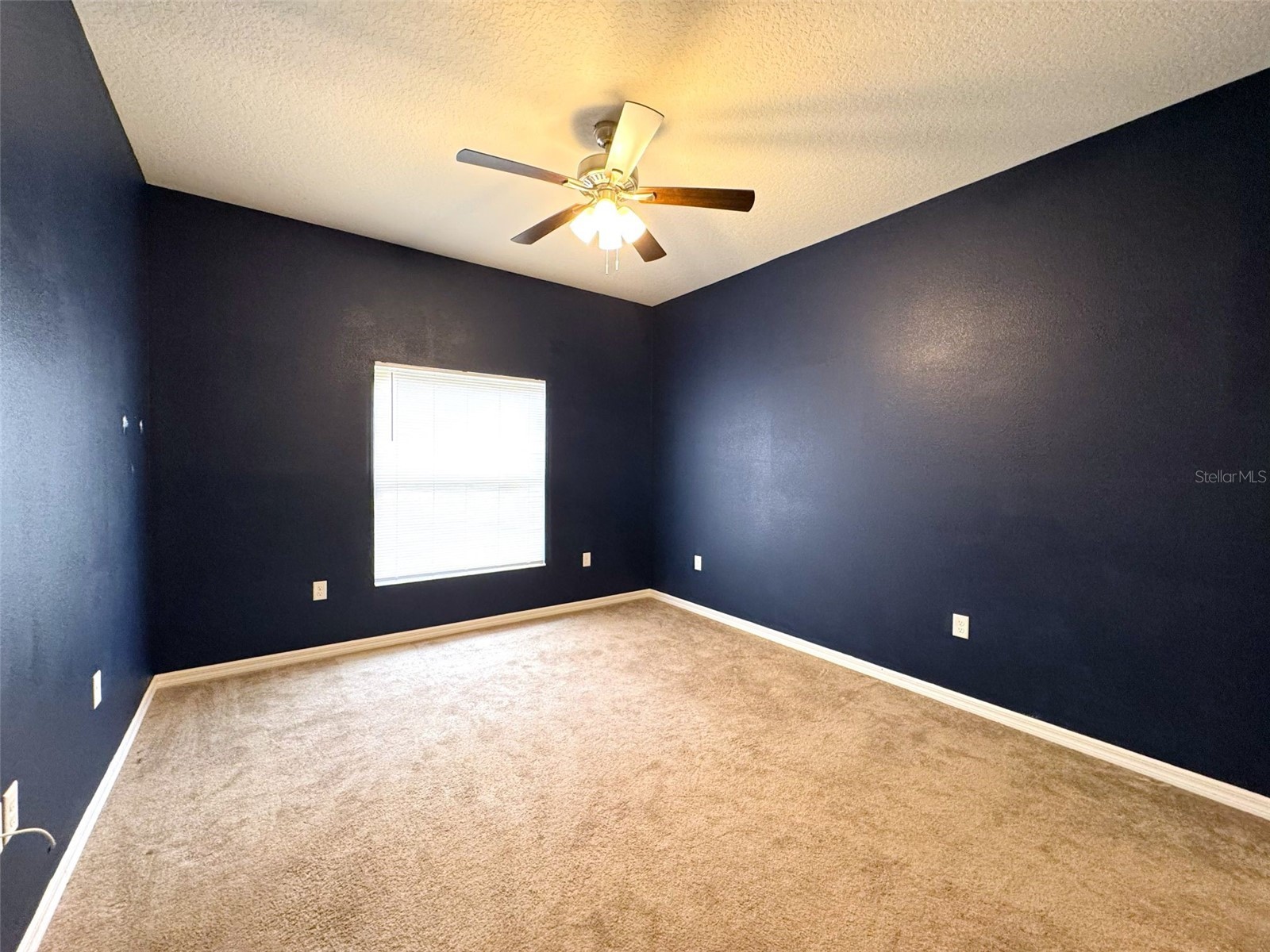 167 N Independence Highway Inverness FL 34453 OM724708 image10