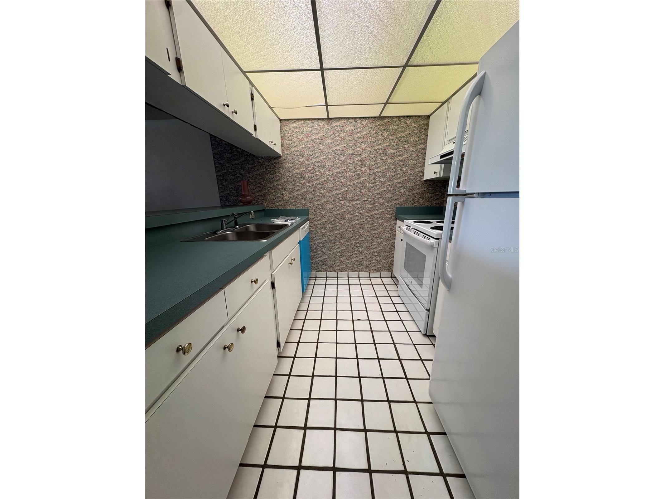 167 Palm View Court #3487 Haines City FL 33844 G5111897 image2