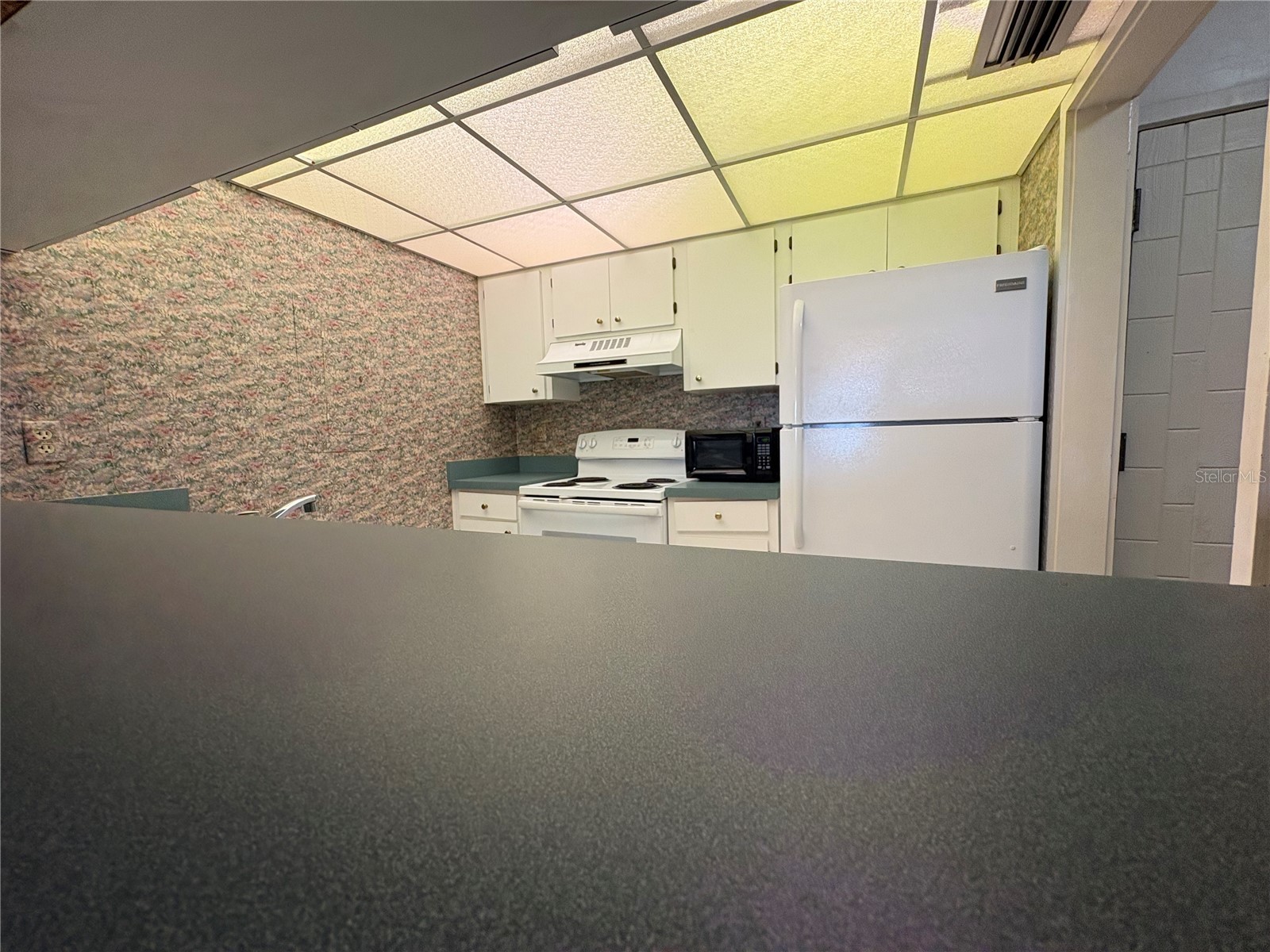 167 Palm View Court #3487 Haines City FL 33844 G5111897 image3