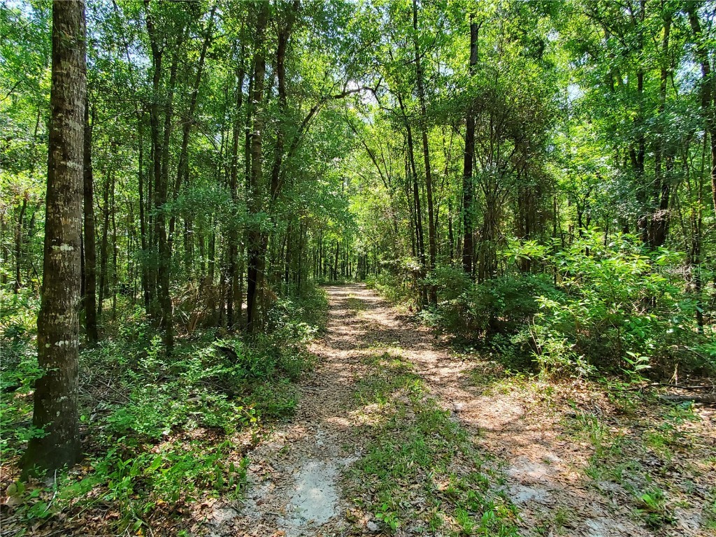 167 SE Condor Glen High Springs FL 32643 GC513311 image1