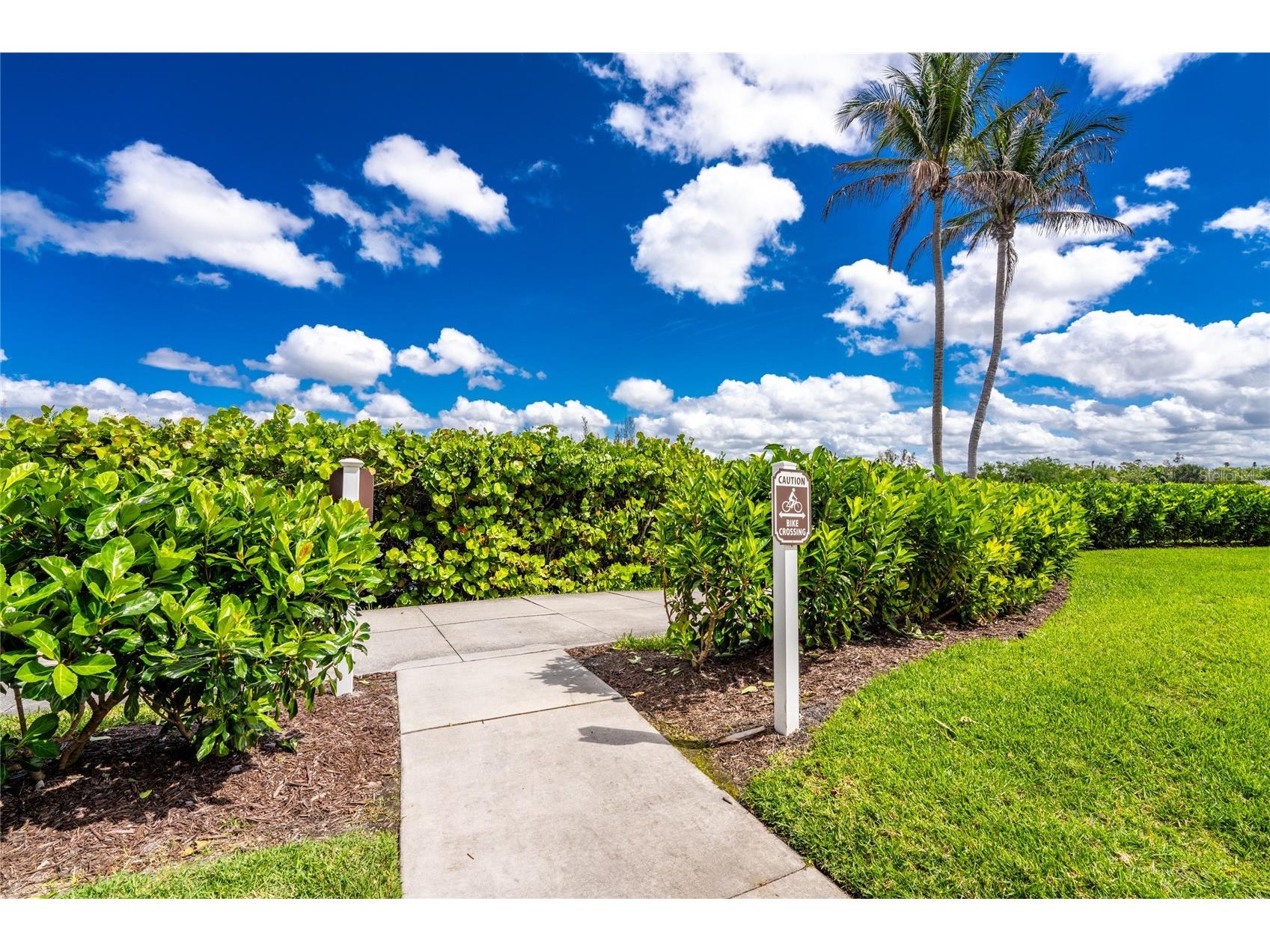 167 Tampa Avenue E #513 Venice FL 34285 N6143927 image53