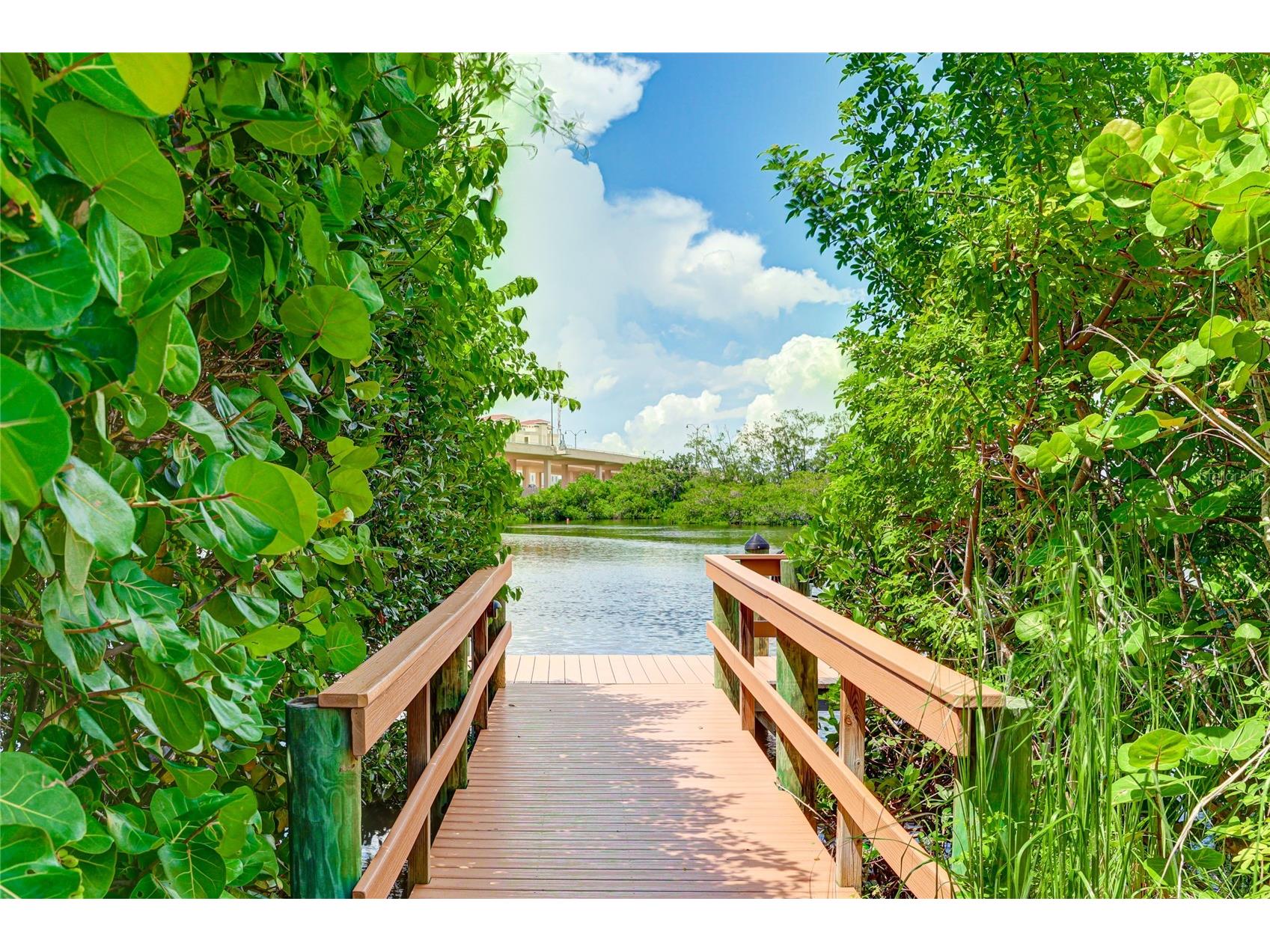 167 Tampa Avenue E #914 Venice FL 34285 A4686644 image49