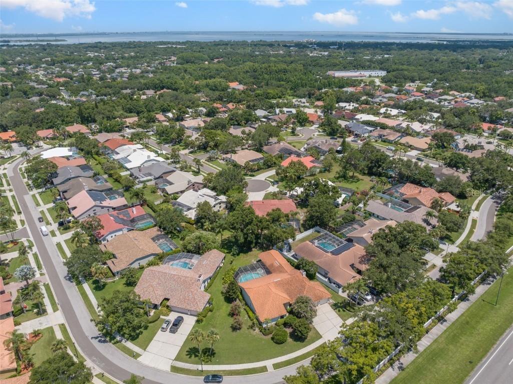 167 Woodcreek Drive W Safety Harbor FL 34695 TB8411837 image47