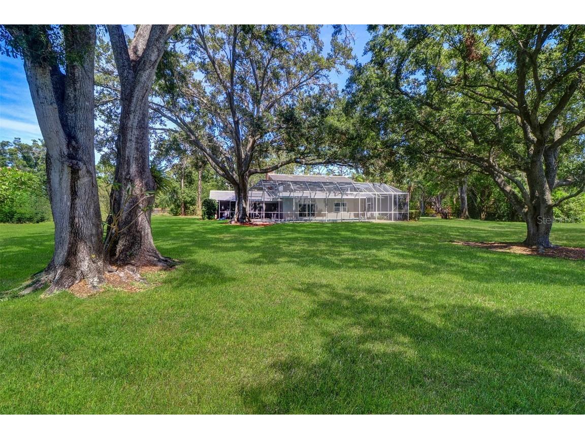 1670 Fox Road Clearwater FL 33764 - ALLEN'S CREEK TB8388524 image9