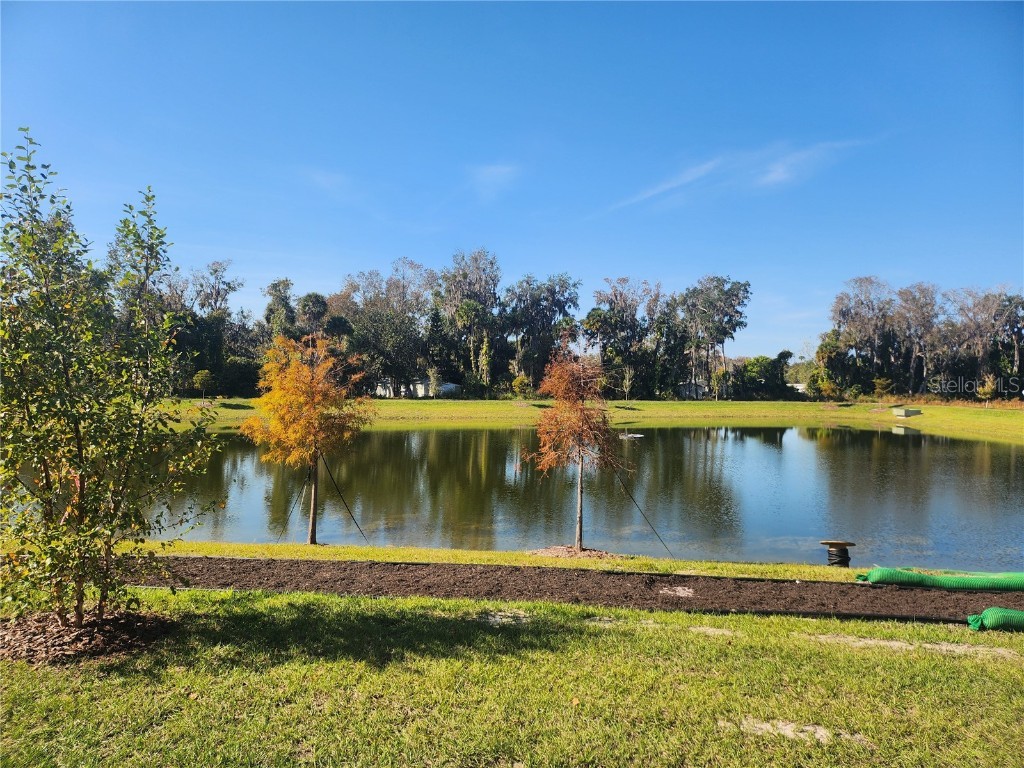 1670 Great Osprey Way New Smyrna Beach FL 32168 O6341510 image3