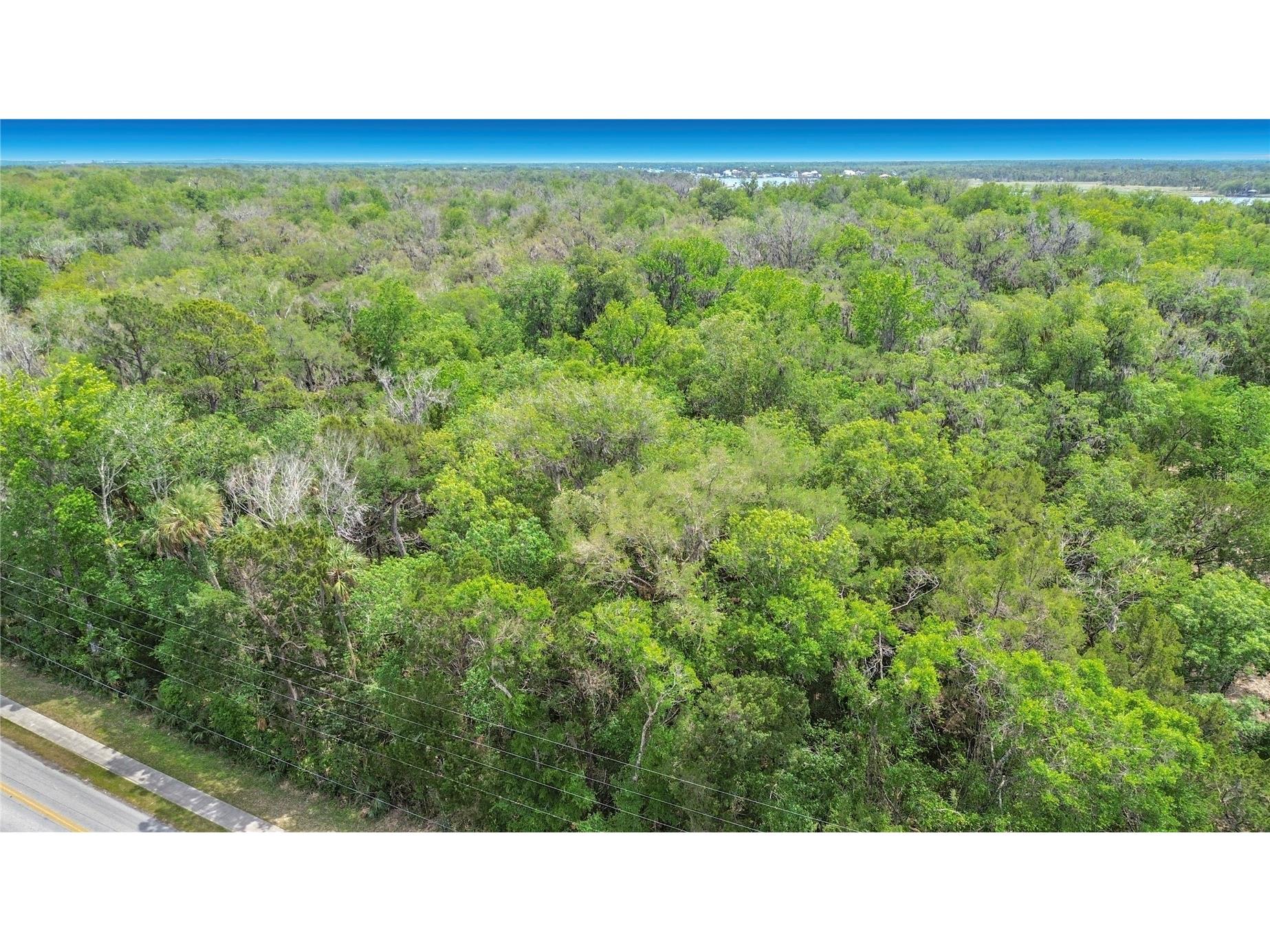 1670 NW 19th Street Crystal River FL 34428 TB8500700 image5