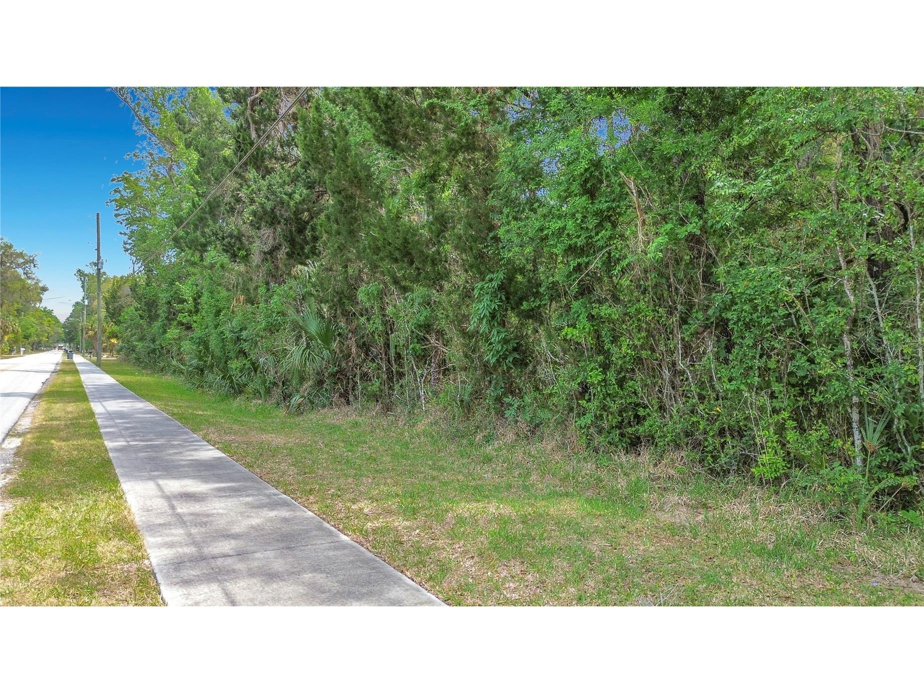 1670 NW 19th Street Crystal River FL 34428 TB8500700 image7