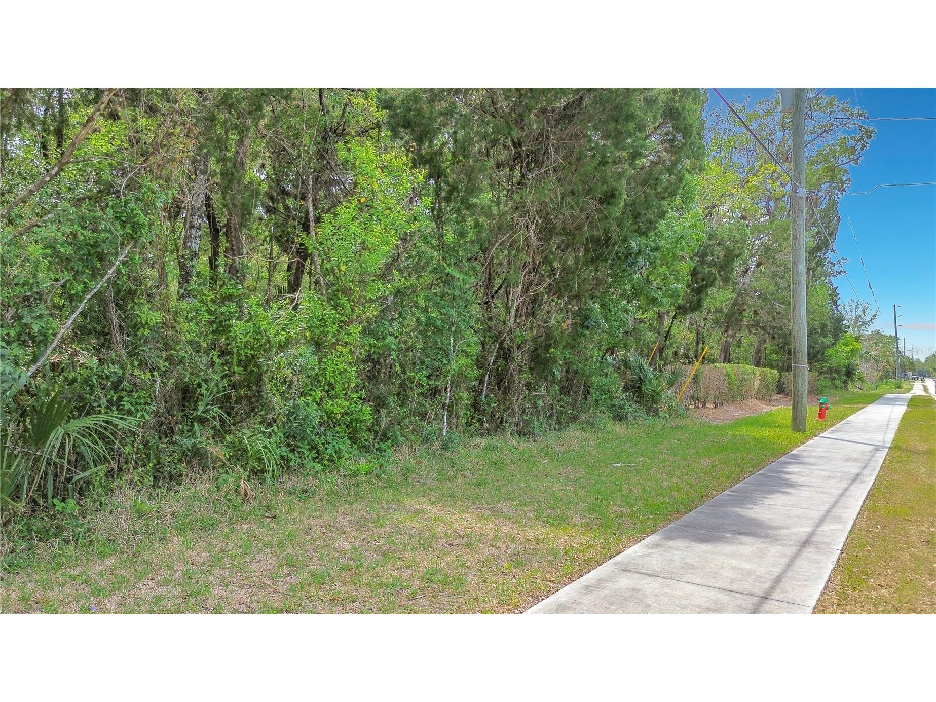1670 NW 19th Street Crystal River FL 34428 TB8500700 image8