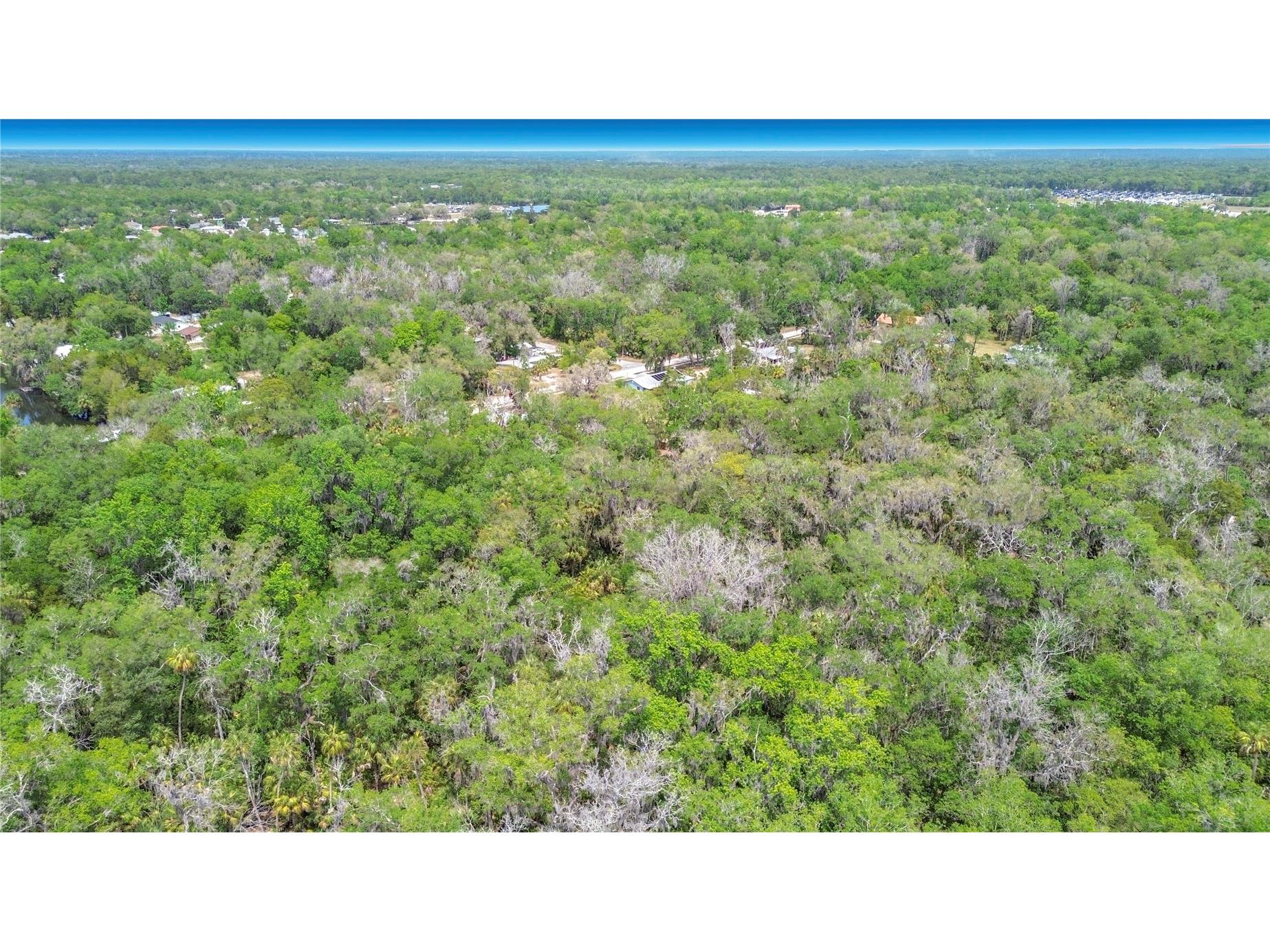 1670 NW 19th Street Crystal River FL 34428 TB8500700 image9