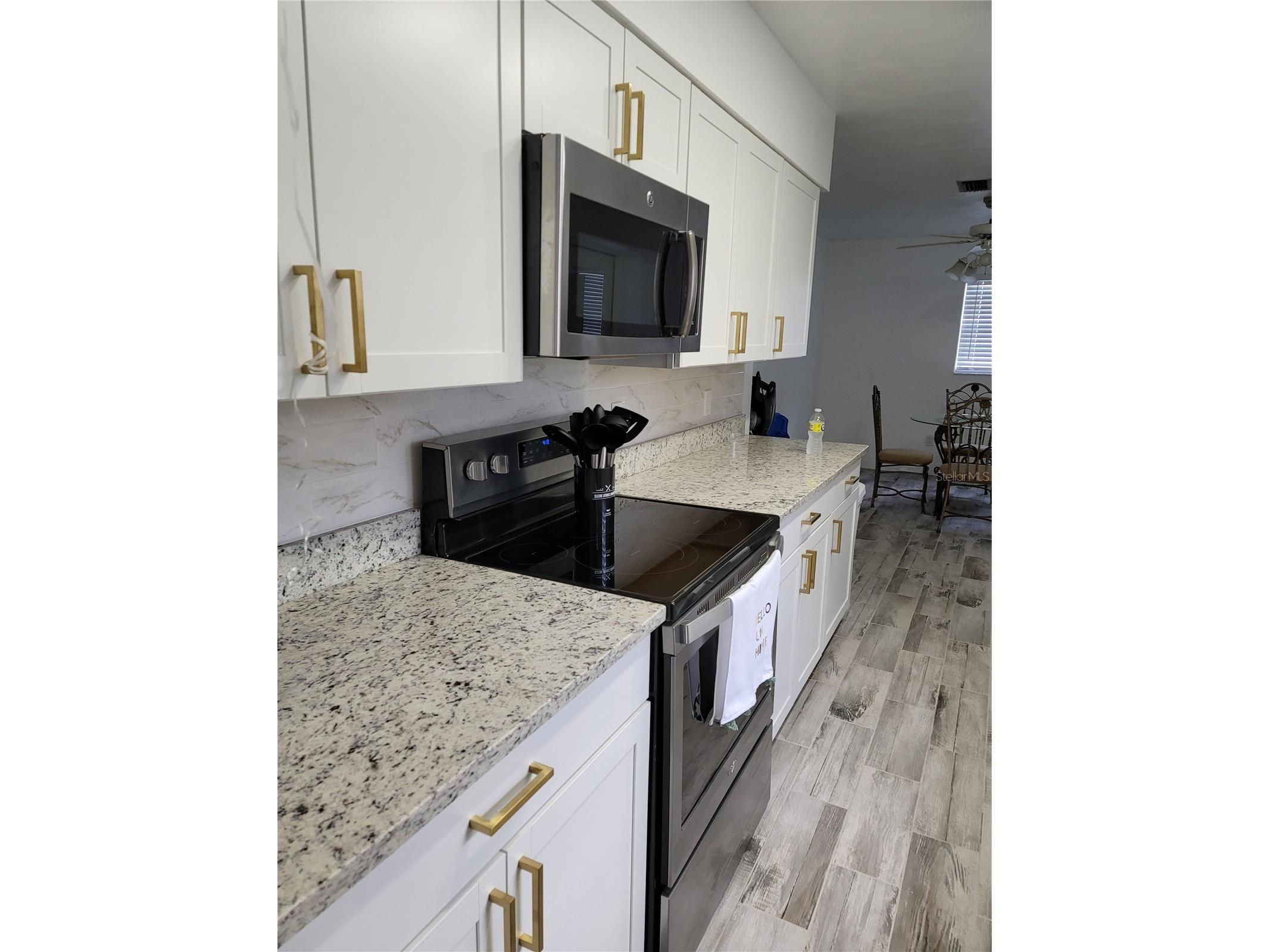 1670 Tiffin Avenue Deltona FL 32725 O6388994 image5