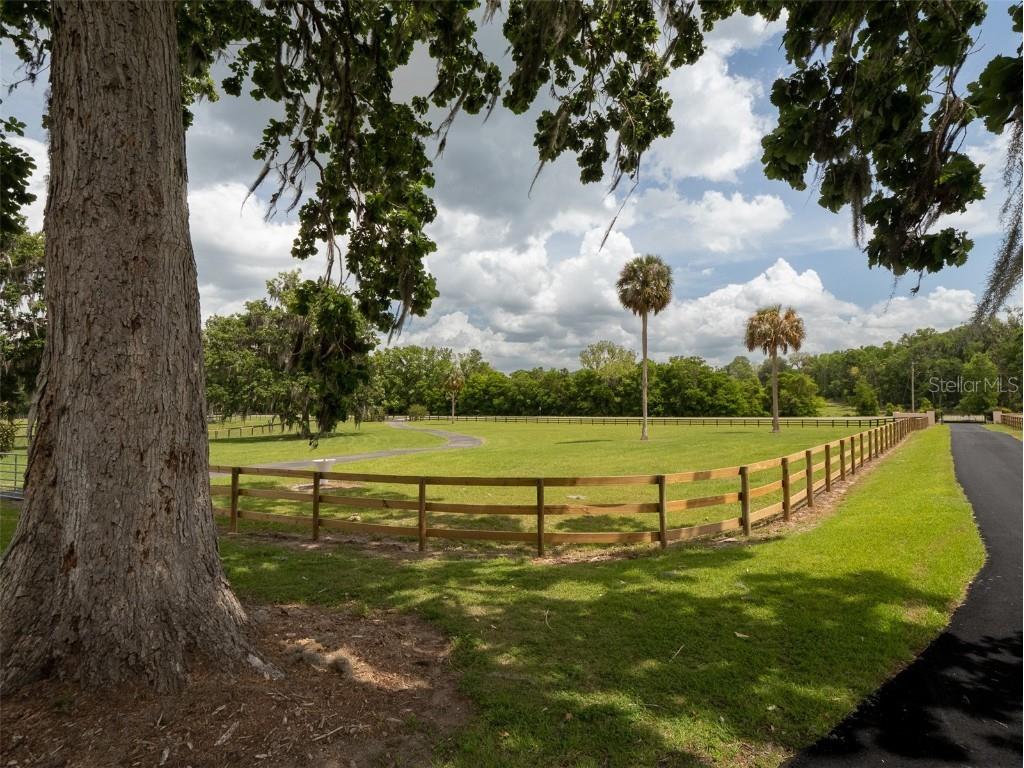 16700/16702 NW Highway 225 Reddick FL 32686 OM699078 image27