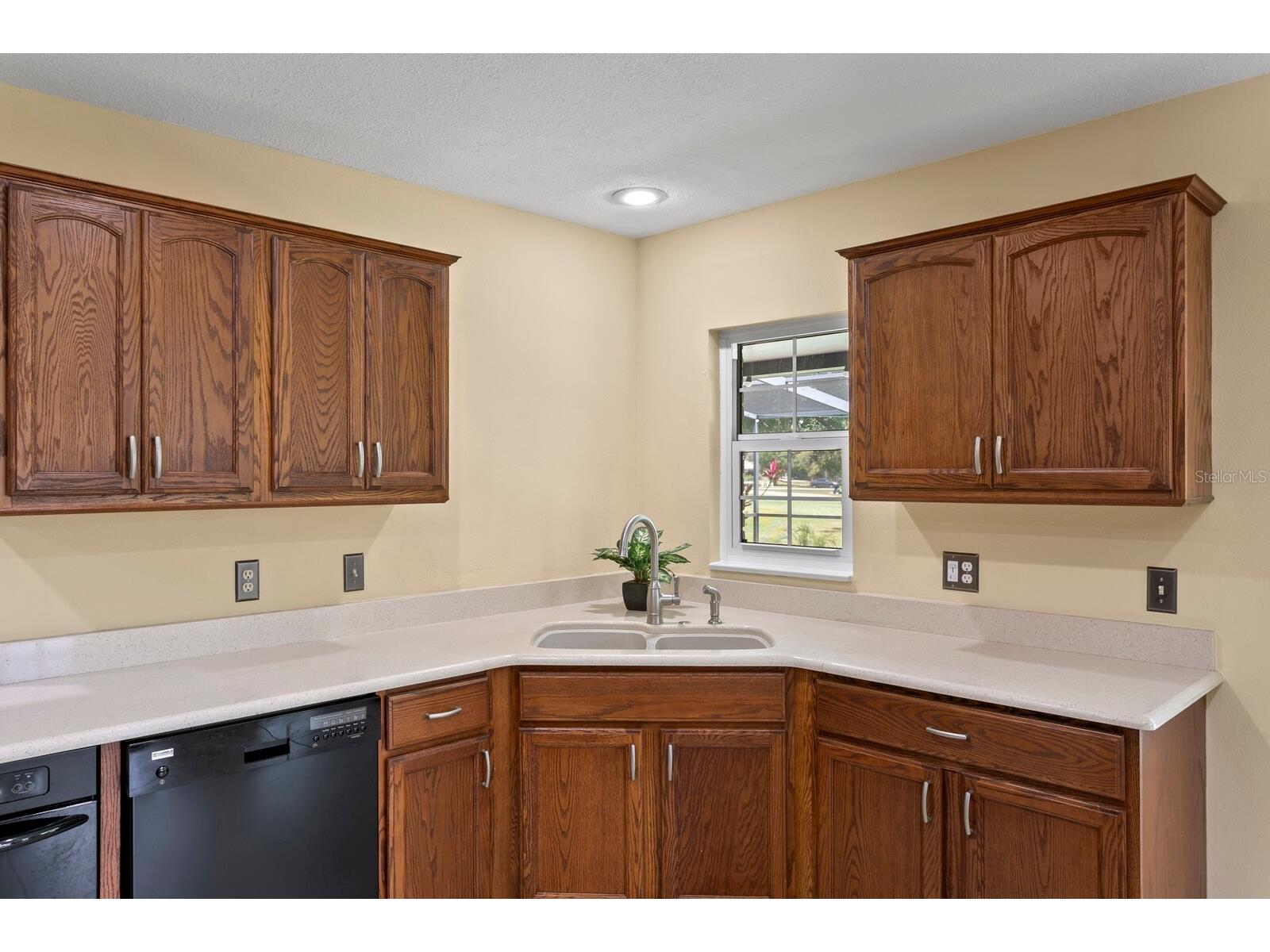 16701 E Course Drive Tampa FL 33624 TB8500614 image29