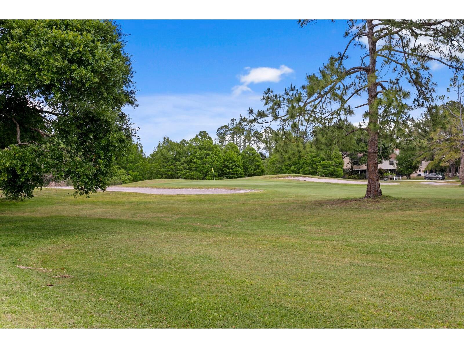 16701 E Course Drive Tampa FL 33624 TB8500614 image4