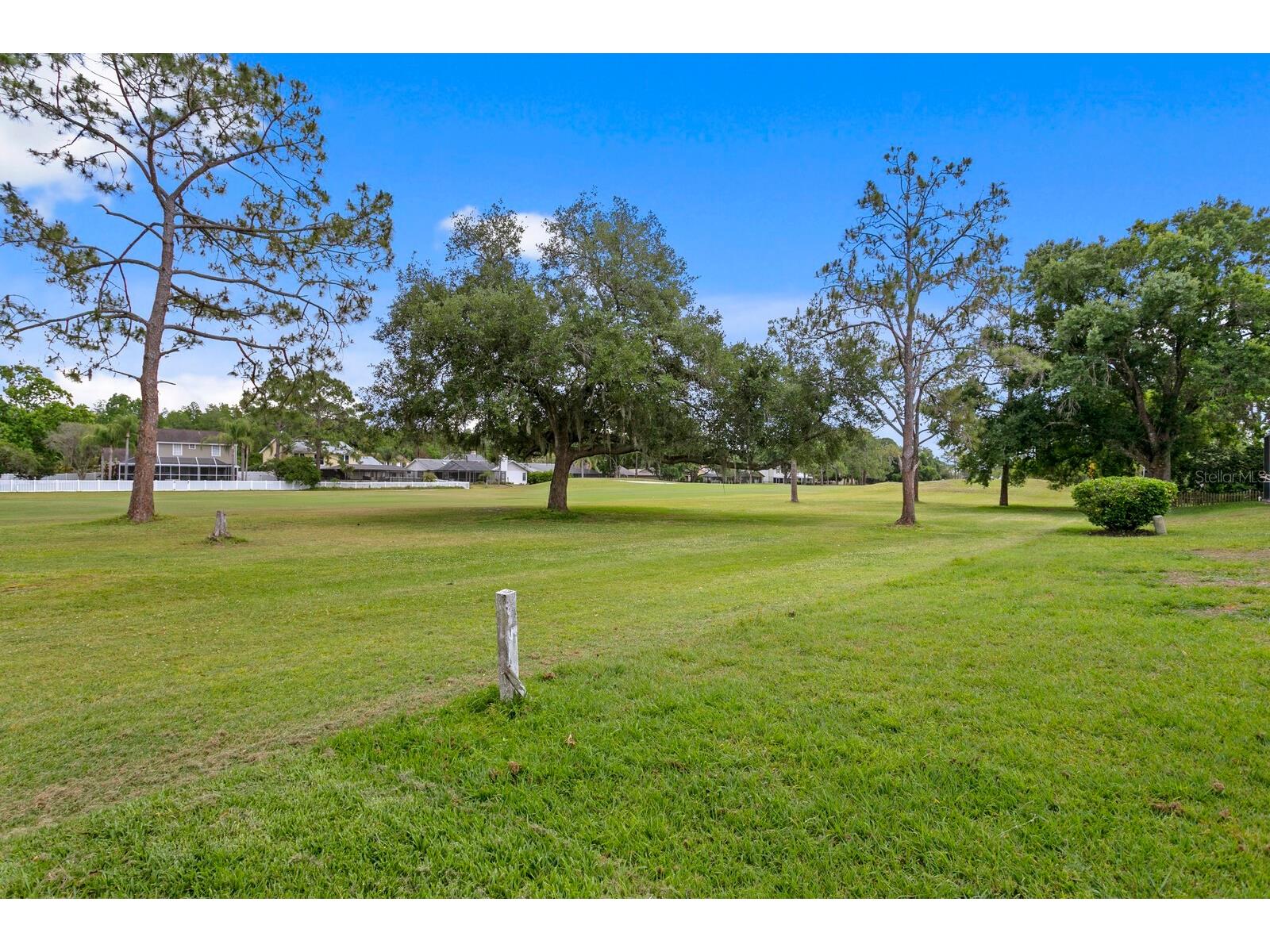 16701 E Course Drive Tampa FL 33624 TB8500614 image54