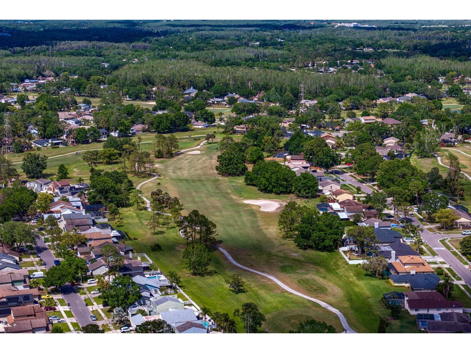 16701 E Course Drive Tampa FL 33624 TB8500614 image65