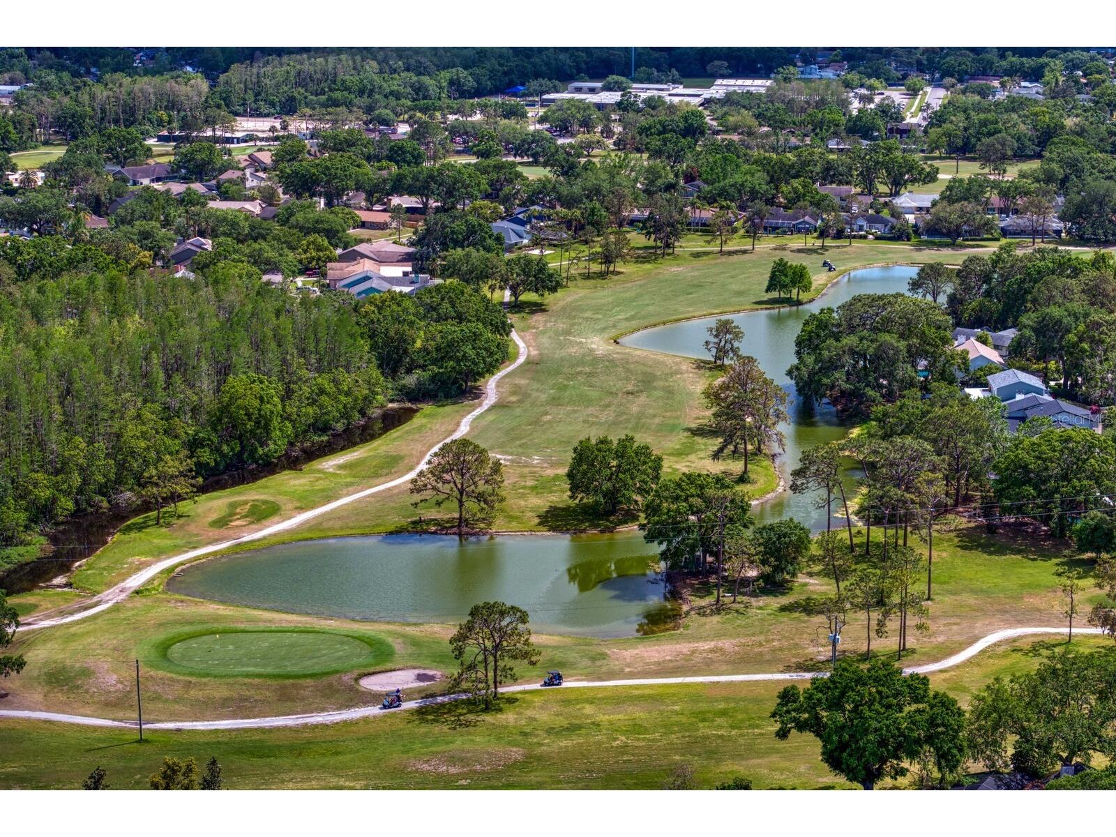 16701 E Course Drive Tampa FL 33624 TB8500614 image66