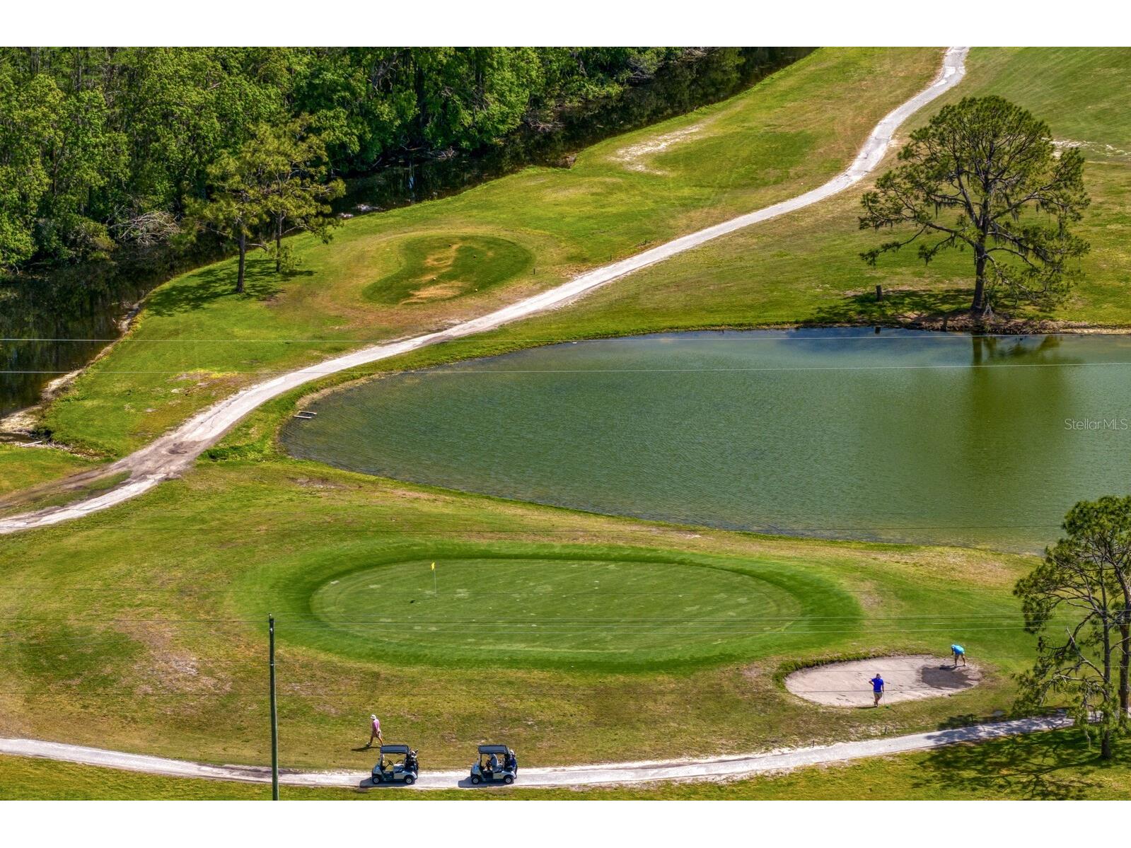 16701 E Course Drive Tampa FL 33624 TB8500614 image68