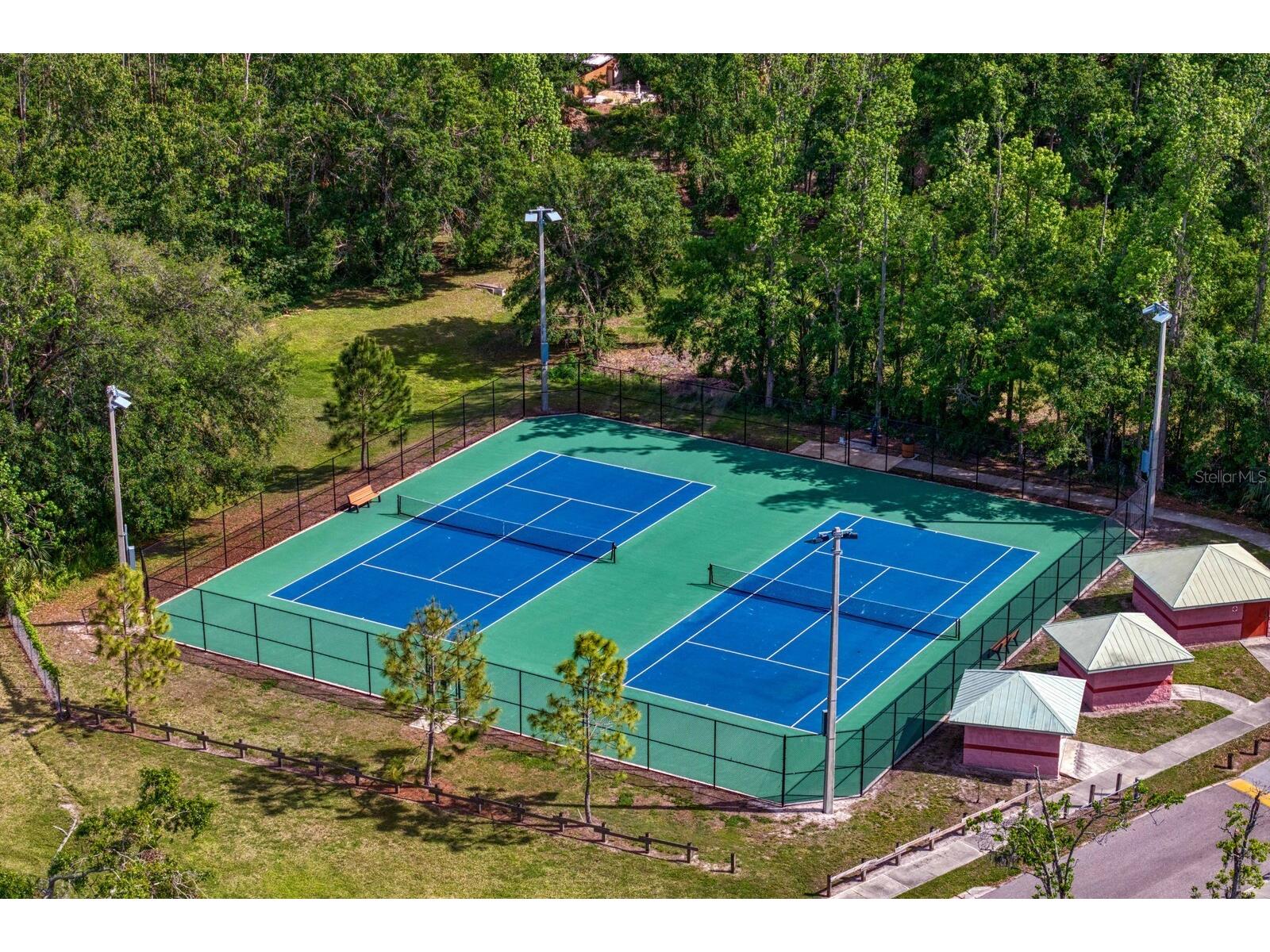 16701 E Course Drive Tampa FL 33624 TB8500614 image72