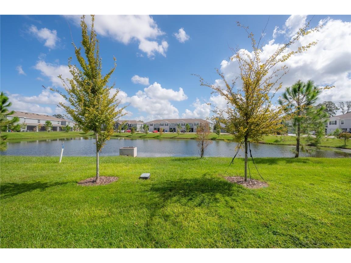 16701 Maude Drive Wimauma FL 33598 TB8436143 image20