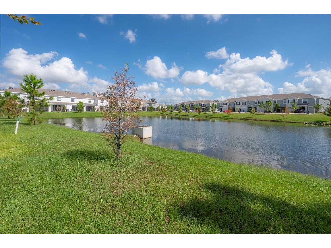 16701 Maude Drive Wimauma FL 33598 TB8436143 image24