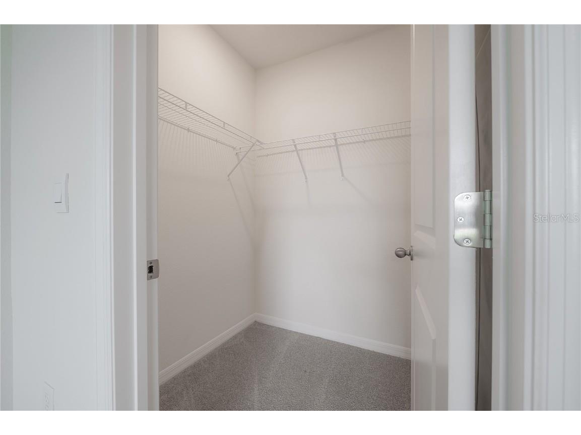 16701 Maude Drive Wimauma FL 33598 TB8436143 image33