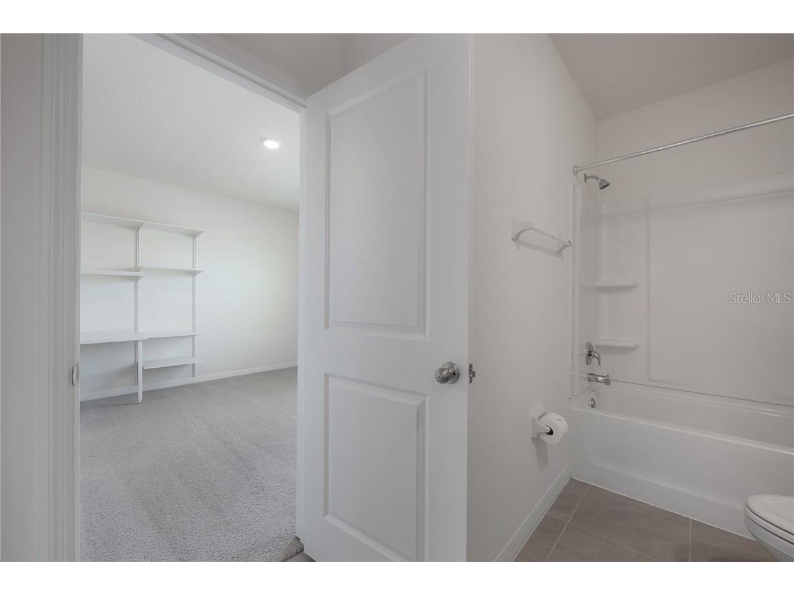 16701 Maude Drive Wimauma FL 33598 TB8436143 image43