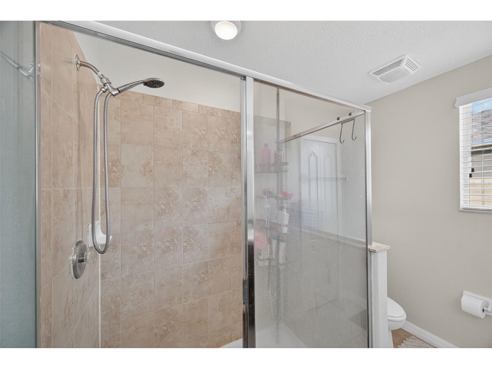 16703 Myrtle Sand Dr Wimauma FL 33598 TB8425487 image37