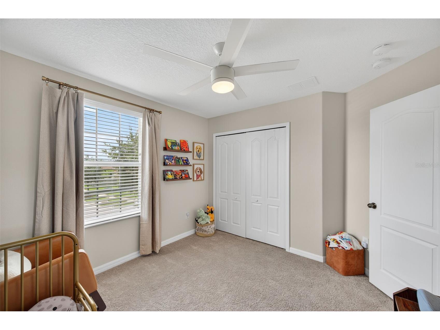 16703 Myrtle Sand Dr Wimauma FL 33598 TB8425487 image47