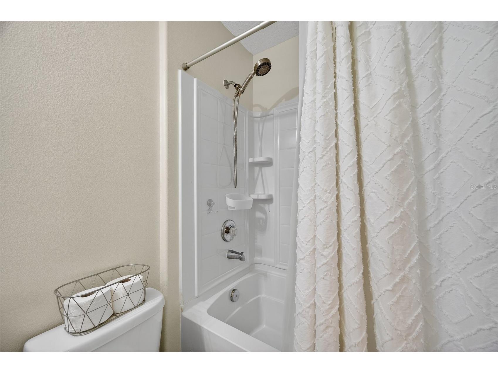 16703 Myrtle Sand Dr Wimauma FL 33598 TB8425487 image49