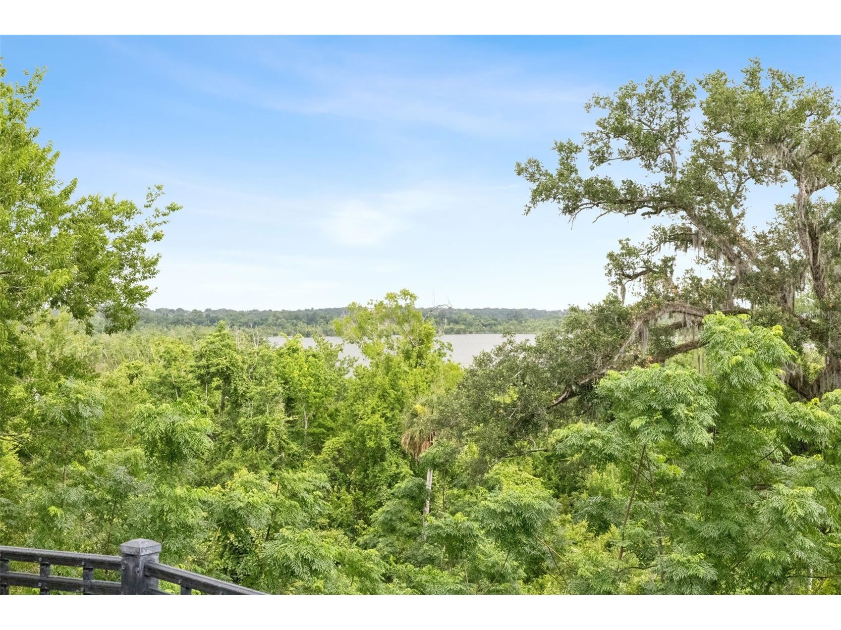 16704 Caravaggio Loop Montverde FL 34756 O6413573 image49