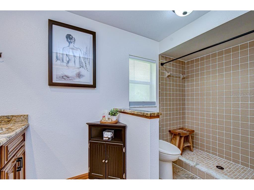 16704 Vallely Drive Tampa FL 33618 TB8492634 image23
