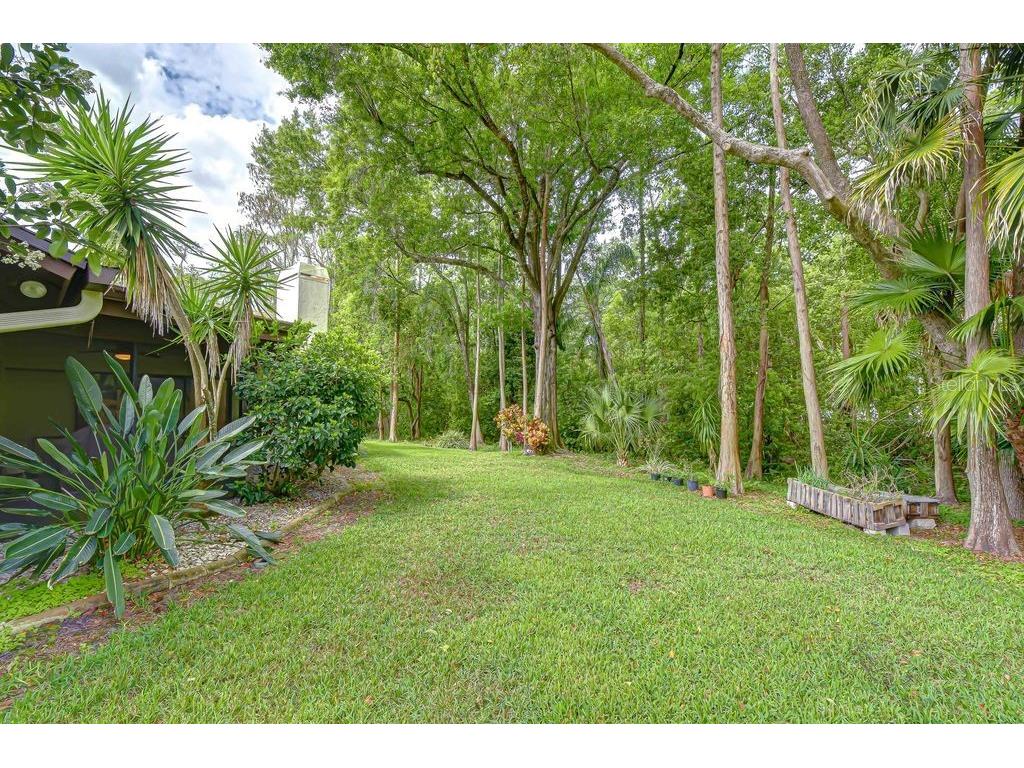 16704 Vallely Drive Tampa FL 33618 TB8492634 image30
