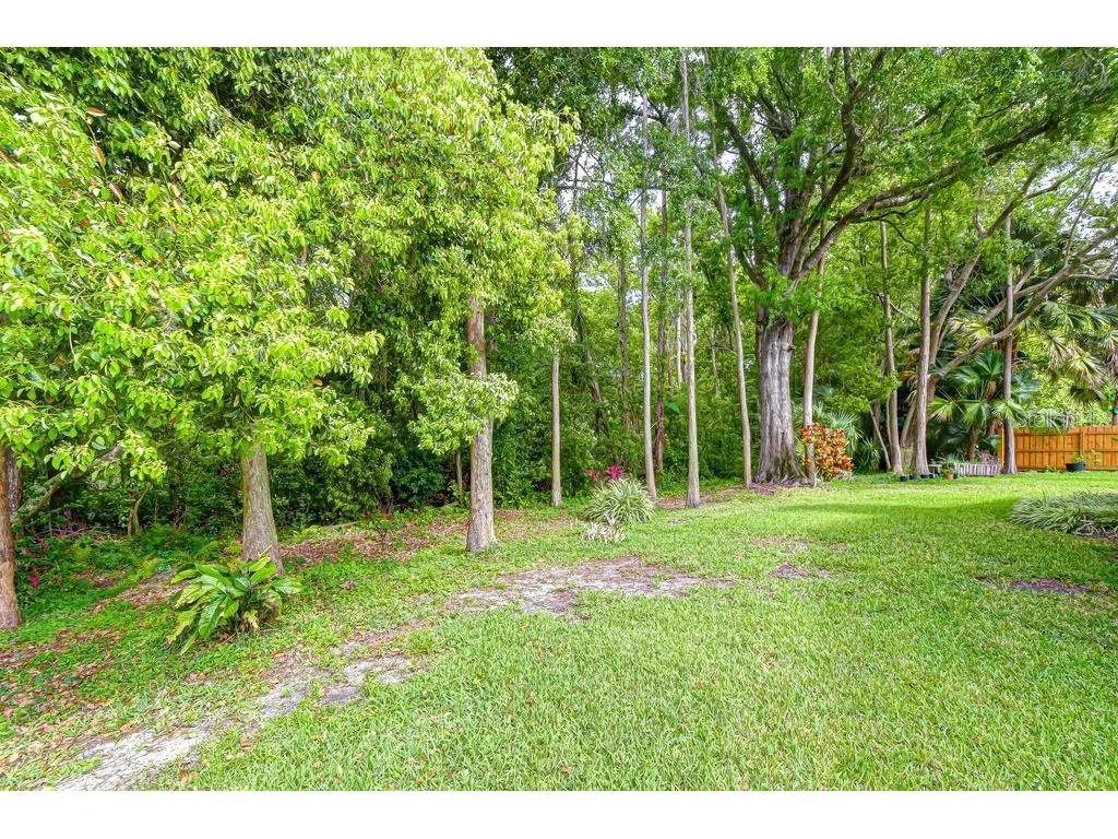 16704 Vallely Drive Tampa FL 33618 TB8492634 image32