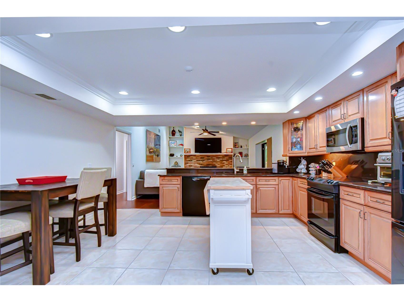16704 Vallely Drive Tampa FL 33618 TB8492634 image9