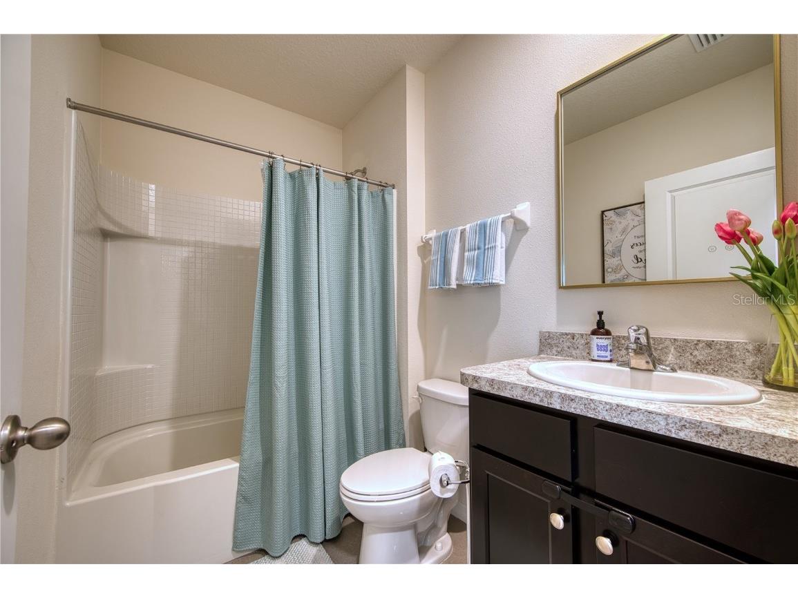 16705 Southern Oaks Trail Parrish FL 34219 A4666099 image19