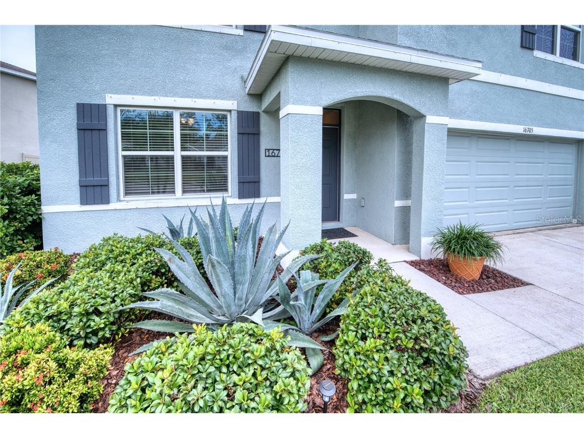 16705 Southern Oaks Trail Parrish FL 34219 A4666099 image4