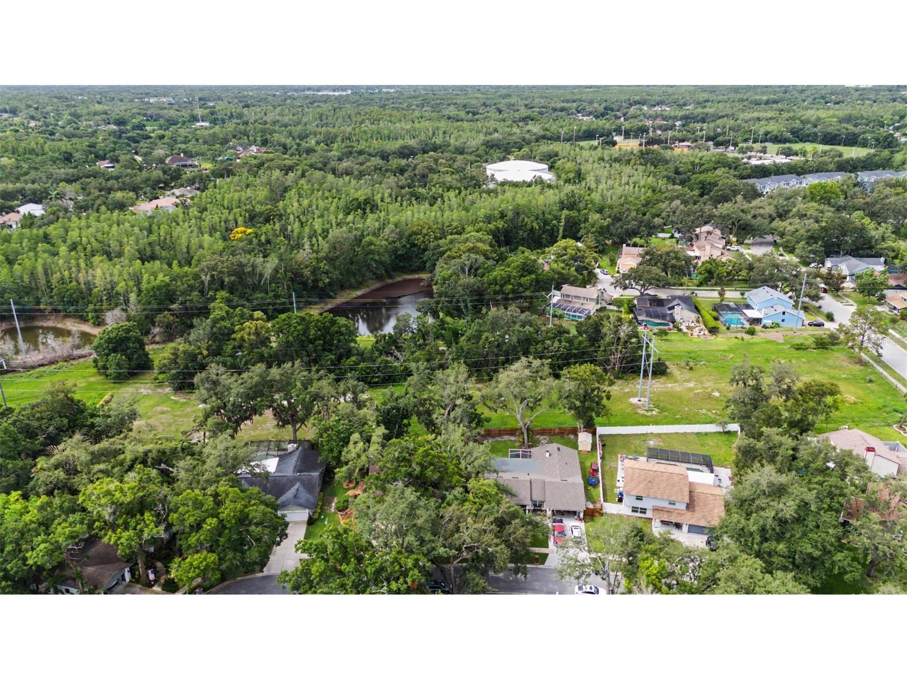 16706 Rolling Rock Drive Tampa FL 33618 TB8515927 image50