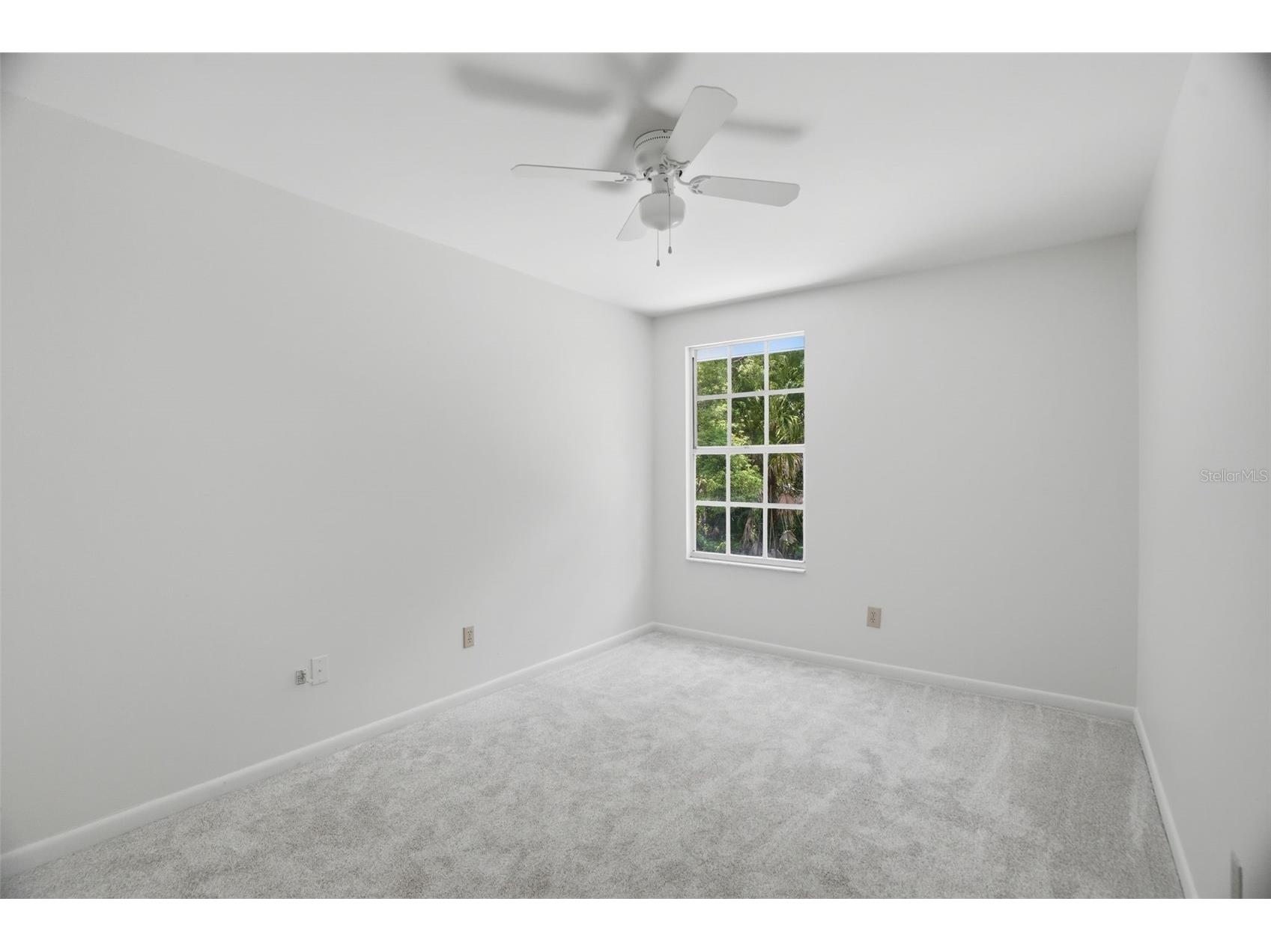 16706 Vallely Drive Tampa FL 33618 TB8512756 image29