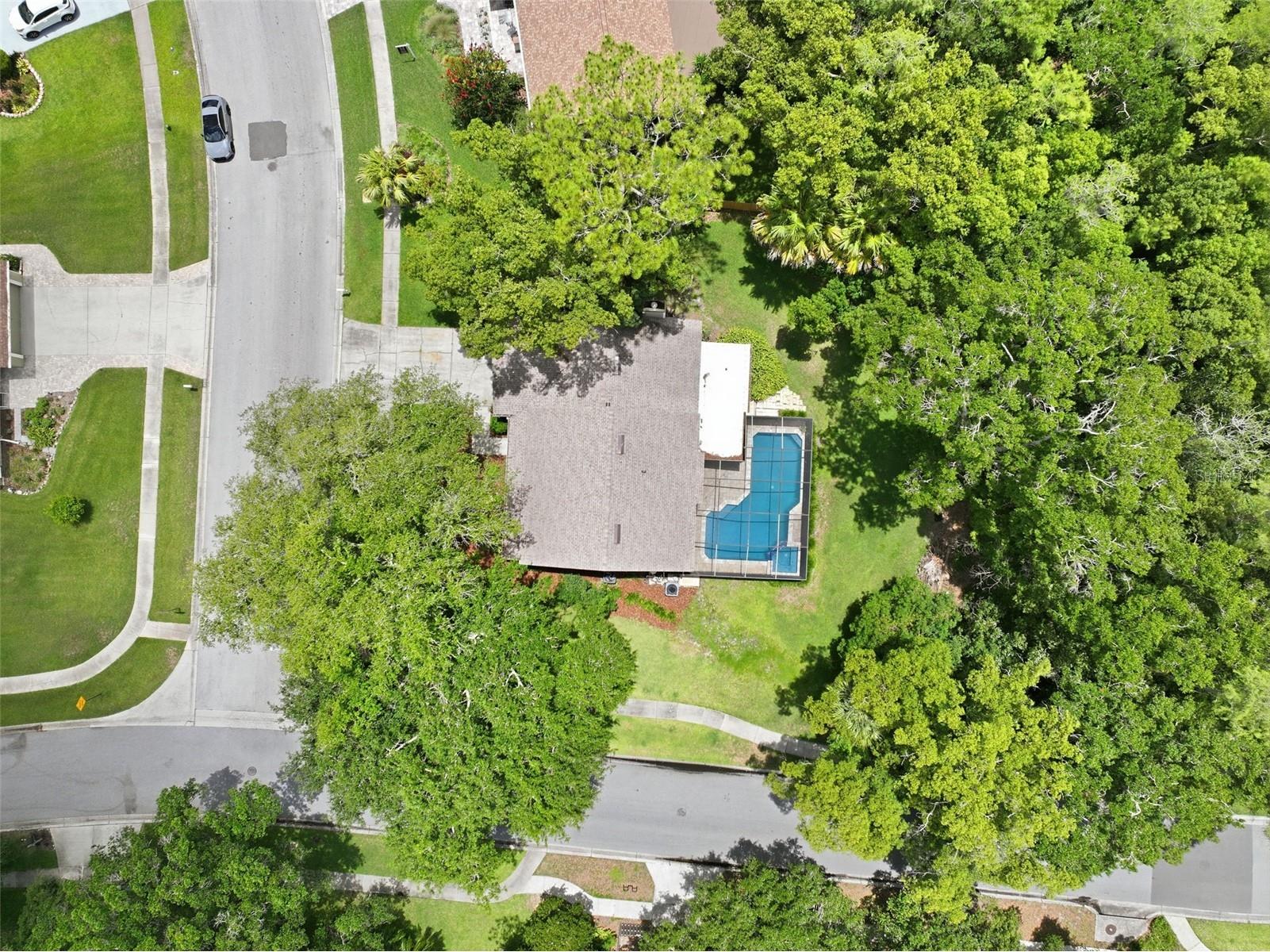 16706 Vallely Drive Tampa FL 33618 TB8512756 image36