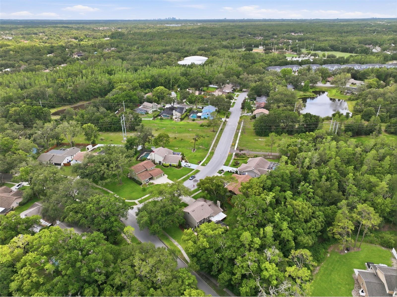 16706 Vallely Drive Tampa FL 33618 TB8512756 image37