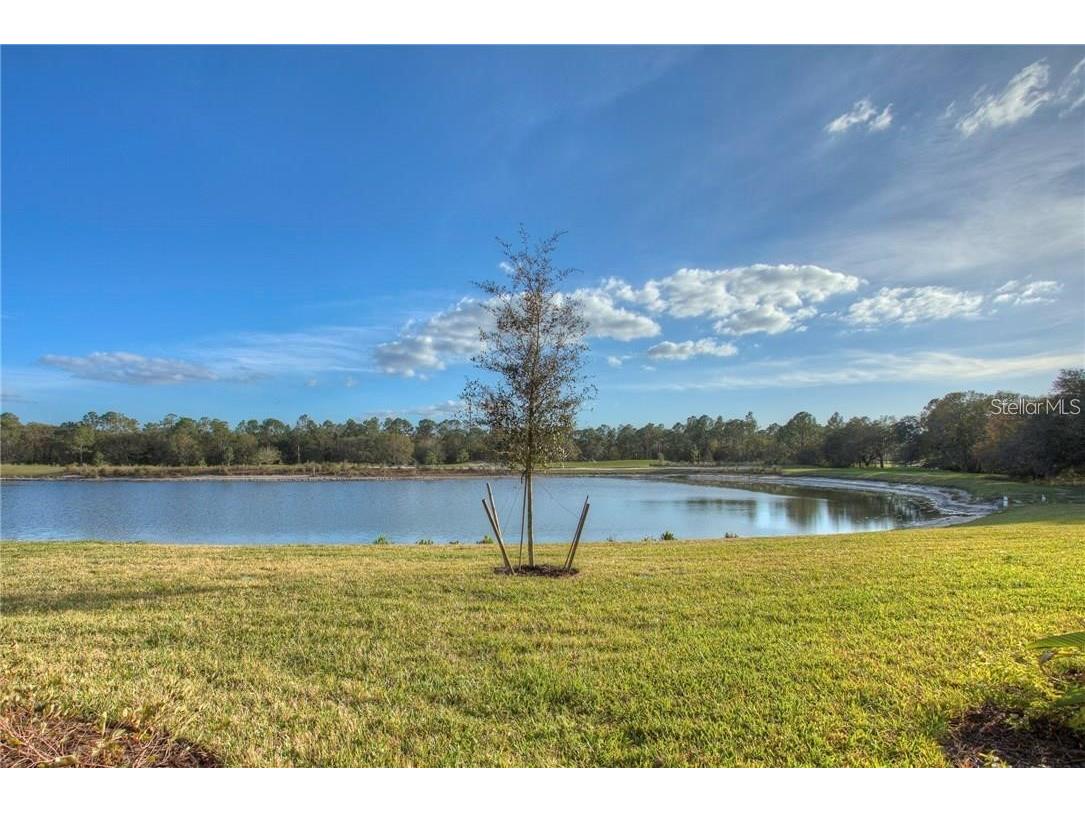 16706 Vardon Terrace #101 Lakewood Ranch FL 34202 A4600220 image5