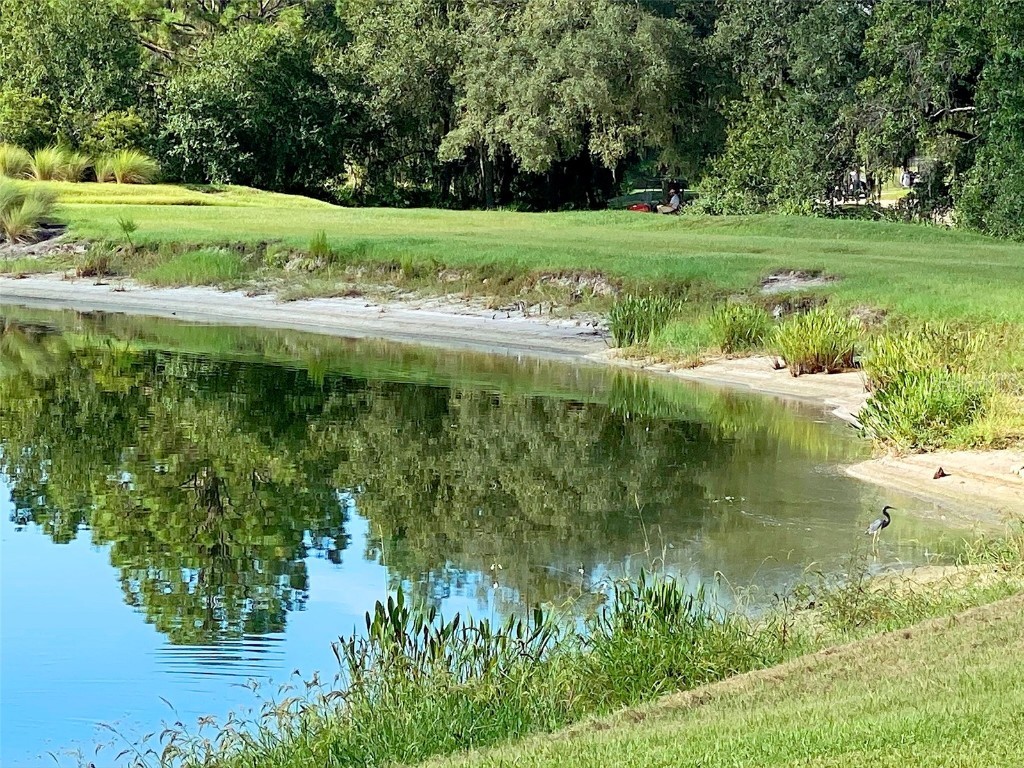 16706 Vardon Terrace #102 Bradenton FL 34211 A4545514 image17