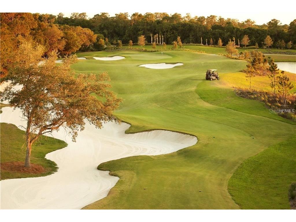 16706 Vardon Terrace #102 Bradenton FL 34211 A4545514 image34