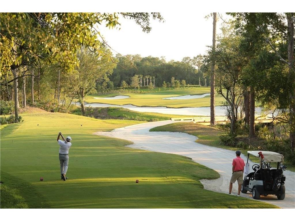 16706 Vardon Terrace #102 Bradenton FL 34211 A4545514 image39