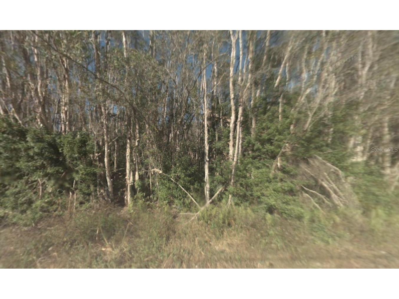 1671 Acremaker Road Naples FL 34120 A4692636 image2