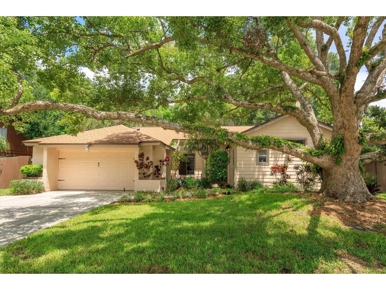 1671 Avalon Boulevard Casselberry FL 32707 O6329931 image1